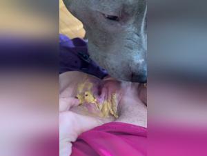 TikTok's Dark Side: Bestiality Trends Exposed