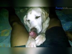 Immersione nell'oscurita: donne e cani in atti proibiti