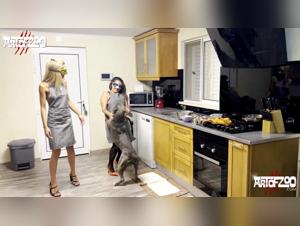 crossing lines: woman & dog