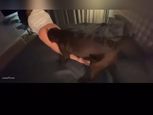 Pushing Boundaries: Animal Content on Ztube