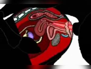 An Extreme Experience on Video