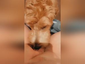 Hard and extreme zoophilia scene with a slut and her four-legged friend