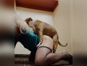 dirty dog links, beastie girls explored