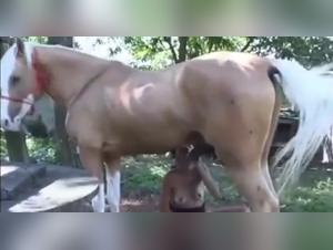 Bestiality Video: An Exciting Experience