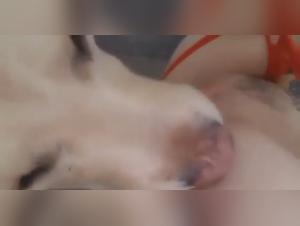 An Extreme Bestiality Sex Experience