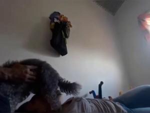 Extreme Bestiality Video