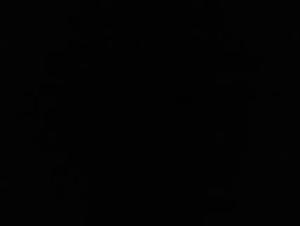 Live an intense zoophilia experience with Neandafriendd