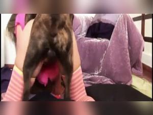 sexfilme mit tieren zoo filia