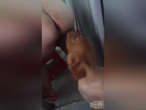 Experience the Taboo Pleasure of Asian Bestiality