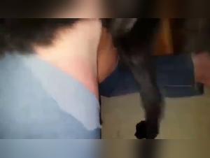 Latina sottomessa, cane dominante