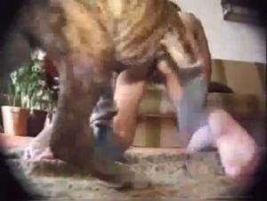 Extreme Sex Scene with a Dog