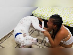 The passionate and sensual games with dog bitches are a must-see!