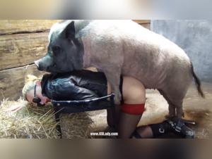 Extreme Fantasy Boundaries