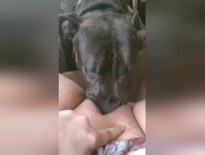 BBW woman and her dog in bestiality sex video