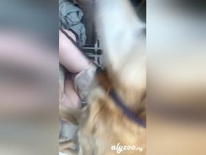Impure enjoyment: teen interspersed with his canine instinct