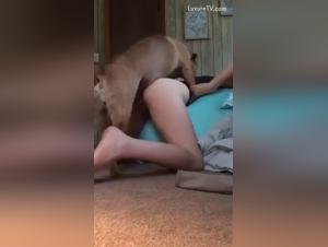 Unveiling the Unseen