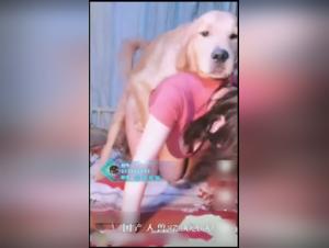 Zoophilia Video: Man and Dog in an Exciting Experience