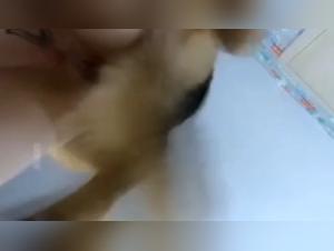 Sessualmente sfrenato: donne e cani in una danza demoniaca