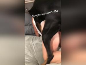 Delizie tabu: troie e cani in un'intensa danza erotica