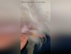 Découvrez la Bestialité la Plus Excitante