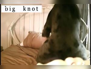 Hard and exciting images of bestiality