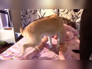 guy fucks his dog: a sensitive exploration