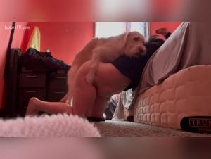 Forbidden Revelations