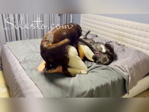 Zoophilia Videos with Veronica Silesto and a Dog