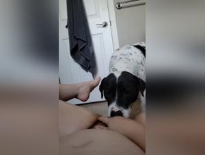 Bestiality sex video: a woman and her dog
