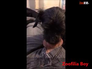 dog knot compilation