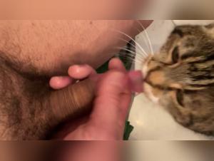 Dog sex videos: a woman and her dog in a shocking relationship