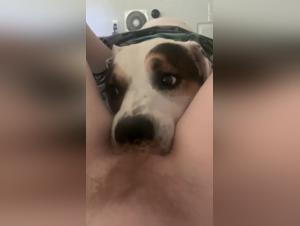 Discover the limits of this teen in an extreme experience with her dog