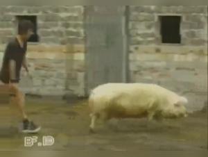 Explore the Limits of Passion in this Zoophilia Video