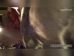 teen fucks dog beastality