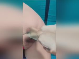 L'art de la bestialite: un sujet qui fait perdre le souffle