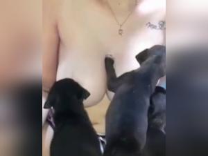 One-of-a-kind bestiality video