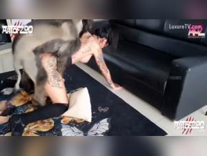 Hund fickt, Raven reicht ein: bestialisches Orgie-Video PMV