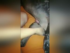 Esplora i confini del desiderio animale con le nostre troie piu audaci.