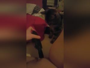 Extreme bestiality sex with a dog and a young German