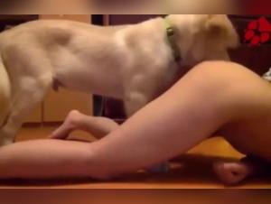 Bestiality Video: An Extreme Experience