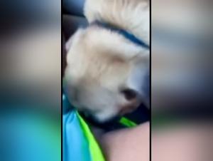 La storia della passione folle