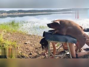 Piacere di puttana, cane e selvaggio - Visioni hardcore