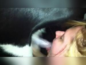 Raw Delights: Desiring Women and Devouring Dogs