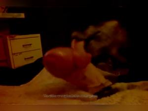 Bestiality sex video: female dog and man