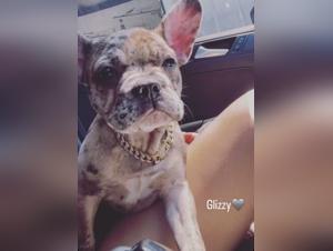 Experience bestiality in a new light with this extreme sex video