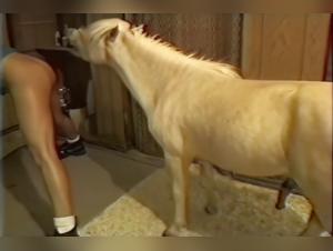 Horse salivation, raw enjoyment and without hindrances