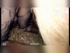 Vidéo Bestiale: Une Femme et Son Compagnon Canin