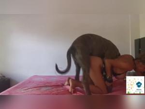 Intense zoophilia scene with an 18 year old girl and her dog