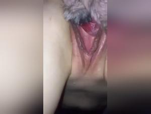 Discover the Forbidden Pleasures of Zoophilia