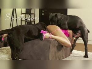 Watch Veronica Silesto in a Shocking and Arousing Bestiality Video